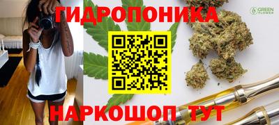 дмт Кинель