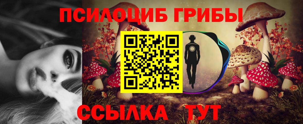 Псилоцибиновые грибы ЛСД  Вход с VPN  где купить наркоту  Краснодар 